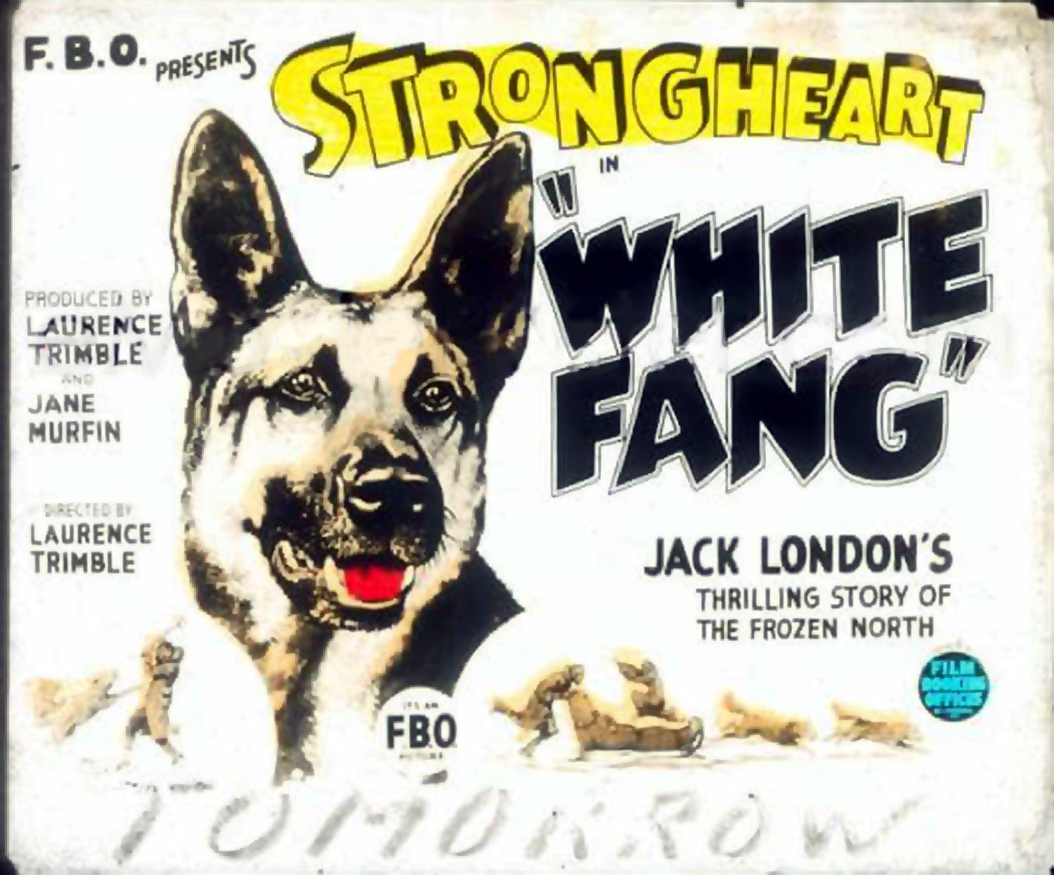 WHITE FANG